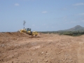 Image 15 Image 15